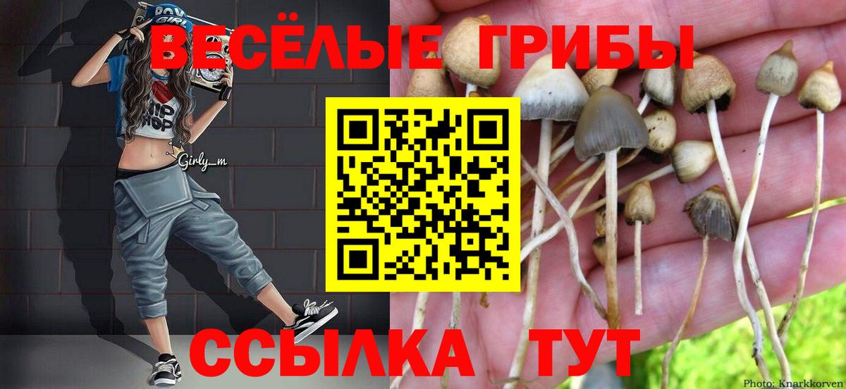 Галлюциногенные грибы Magic Shrooms  Вход с VPN  Людиново 
